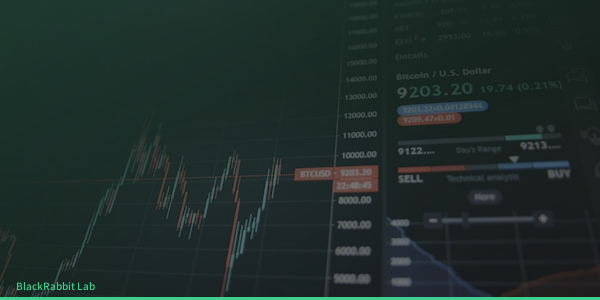 변동성 속 강세장: 3월 첫째 주 시장 심층 분석