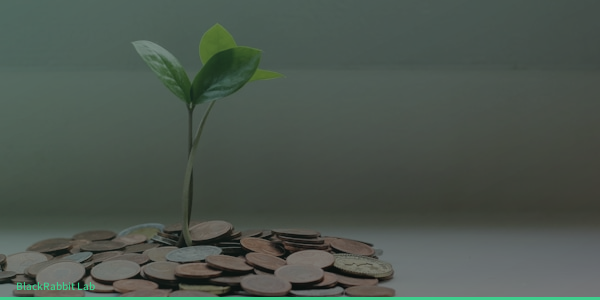 자산배분과 위험 관리: '다양함'이 만들어내는 안정적인 성장률